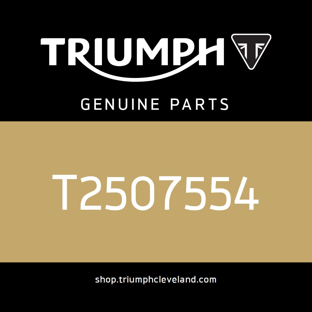 Triumph OEM Lockset, LH, Routing - T2507554