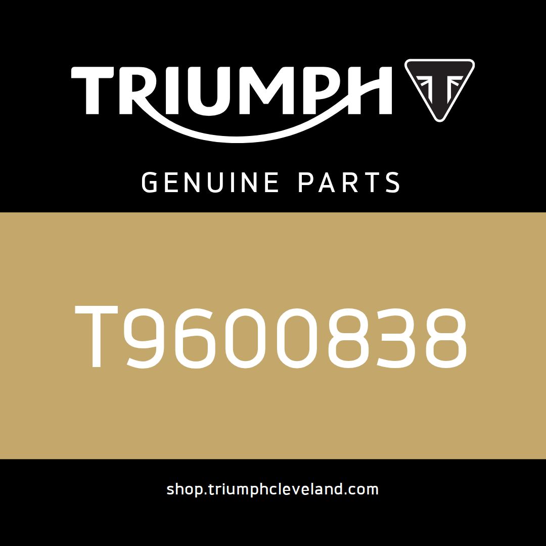 Triumph OEM Silencer, Slip On, Arrow, RH - T9600838