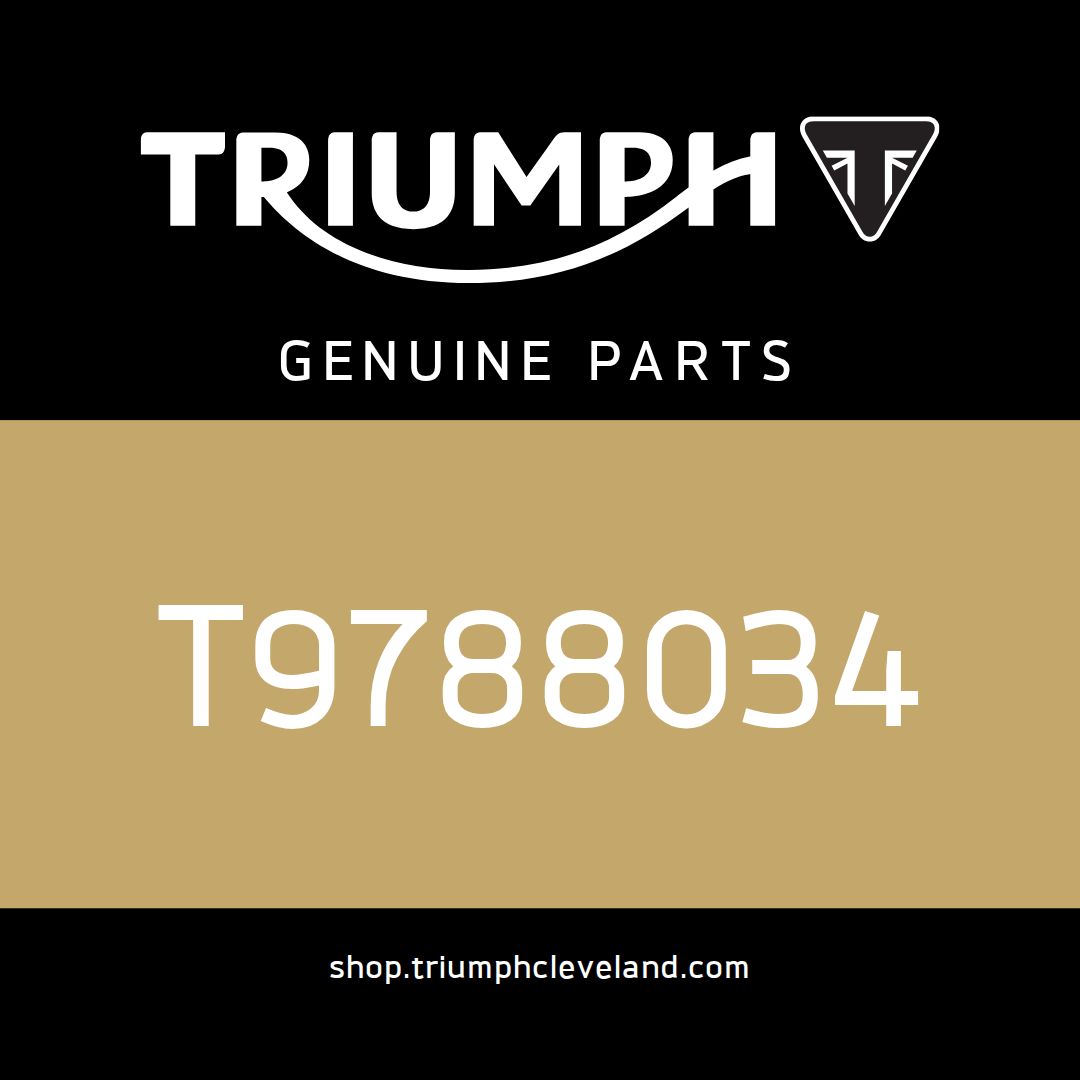 Triumph OEM Dresser Bar, LH, Graphite - T9788034