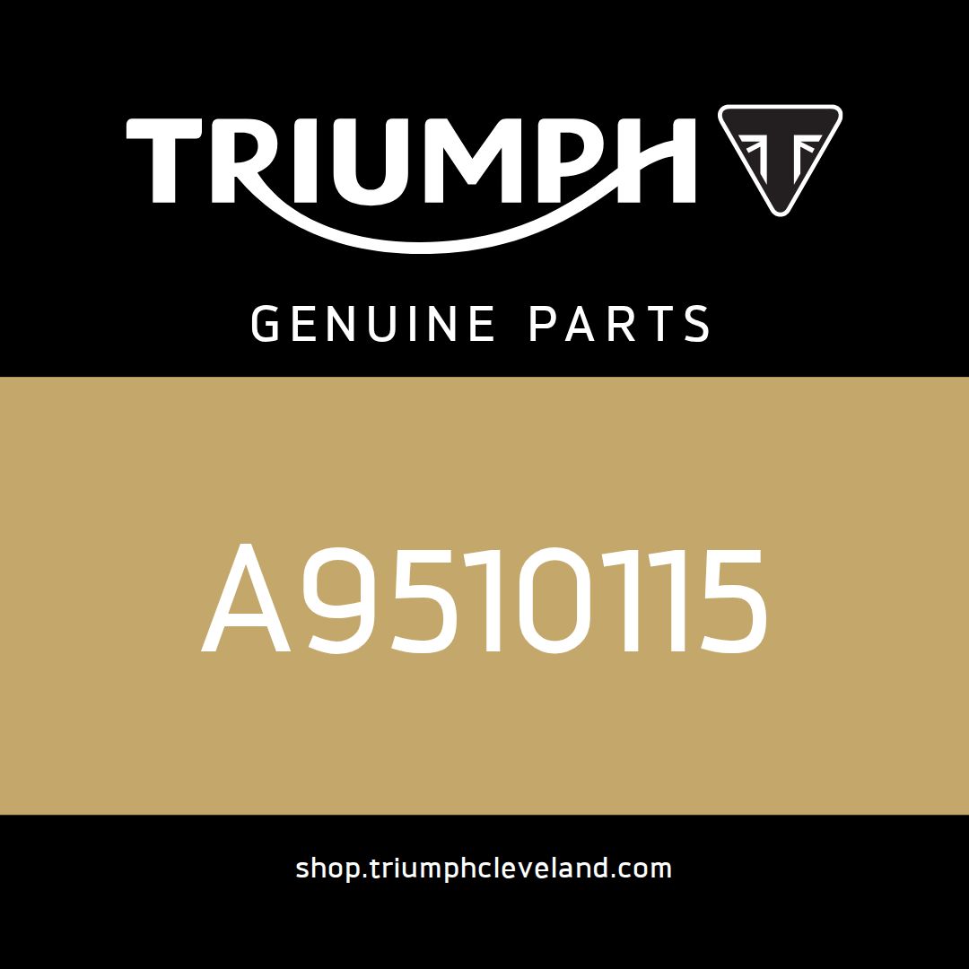 Triumph OEM Strap, Mounting, Male, 450mm - A9510115