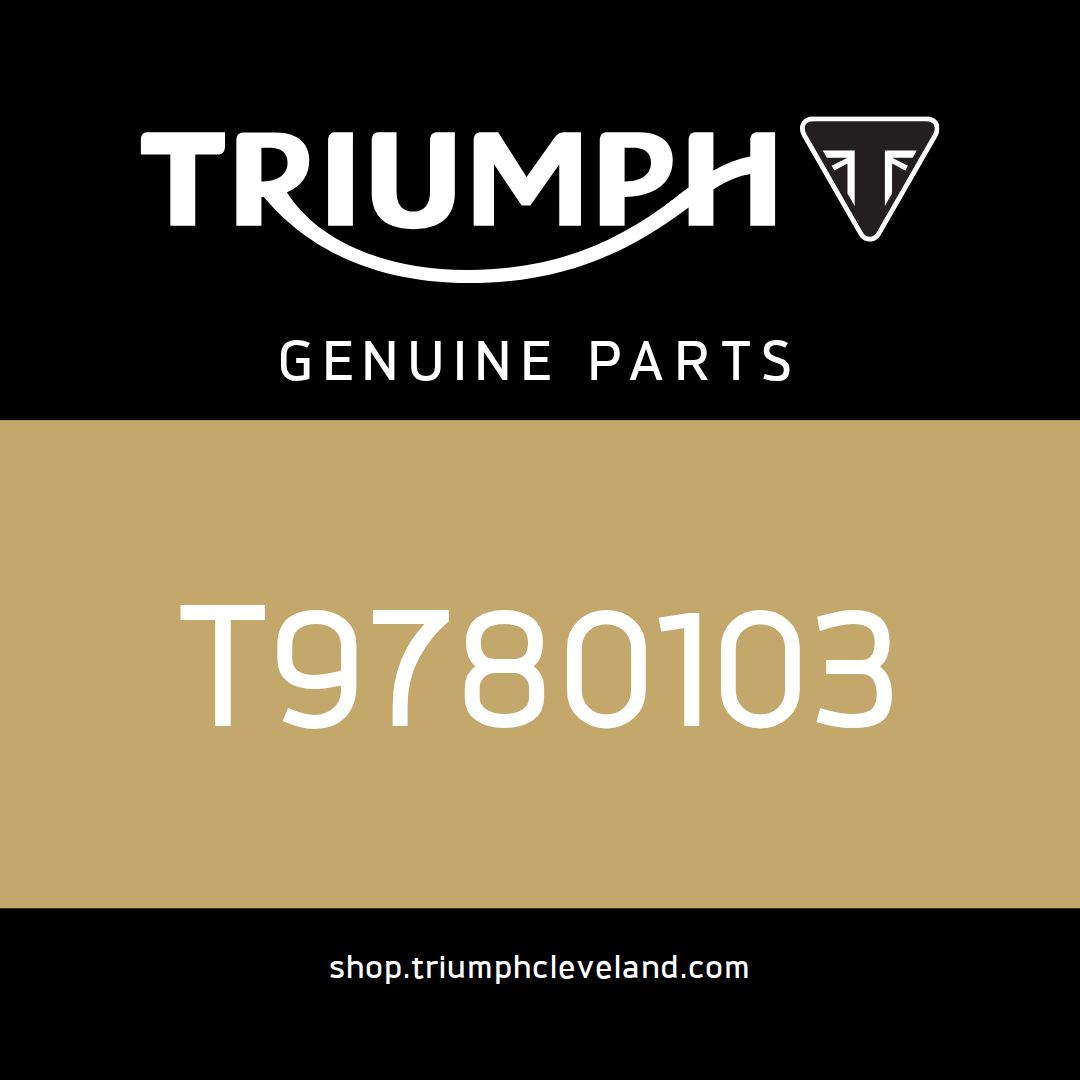 Triumph OEM Fuel Tank Pro Bars, Kit, Black - T9780103