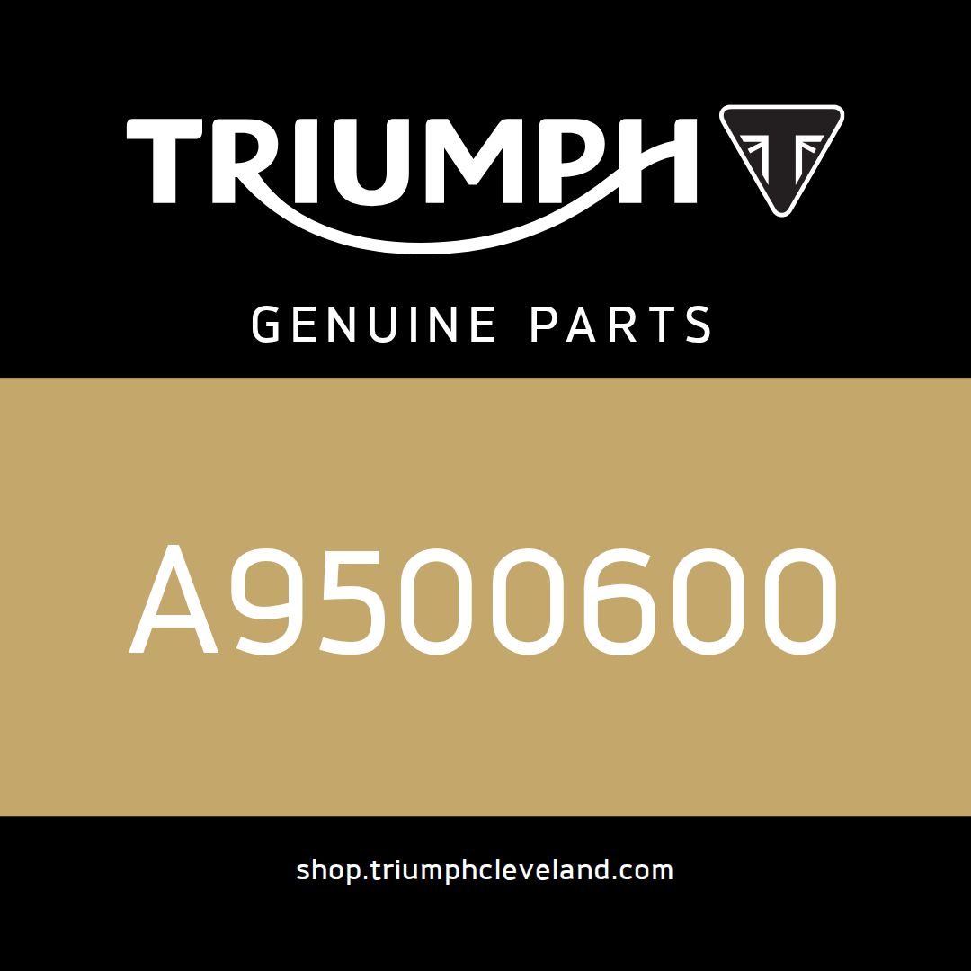 Triumph OEM Pannier, Aluminium, Kit, Silver - A9500600