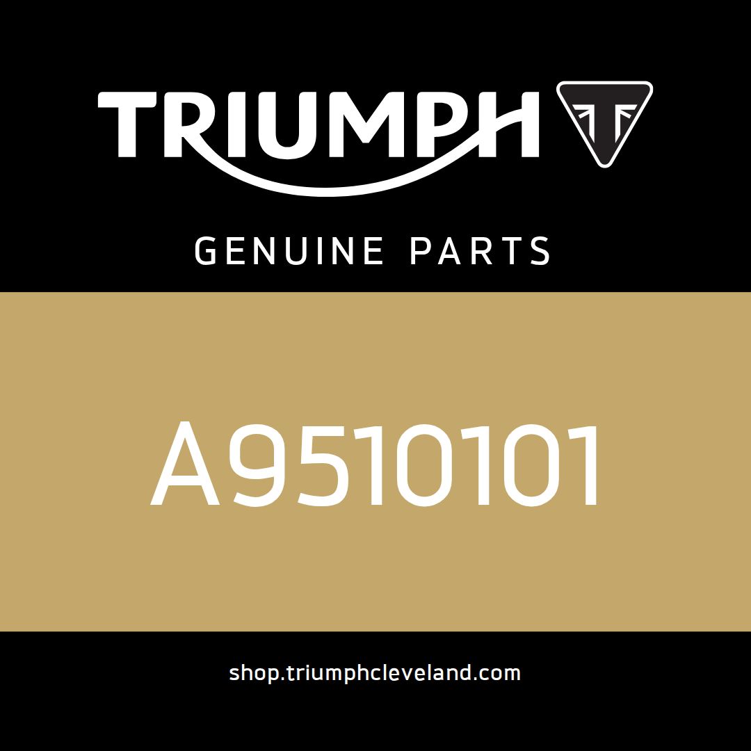 Triumph OEM Strap, Mounting, Male, 330mm - A9510101