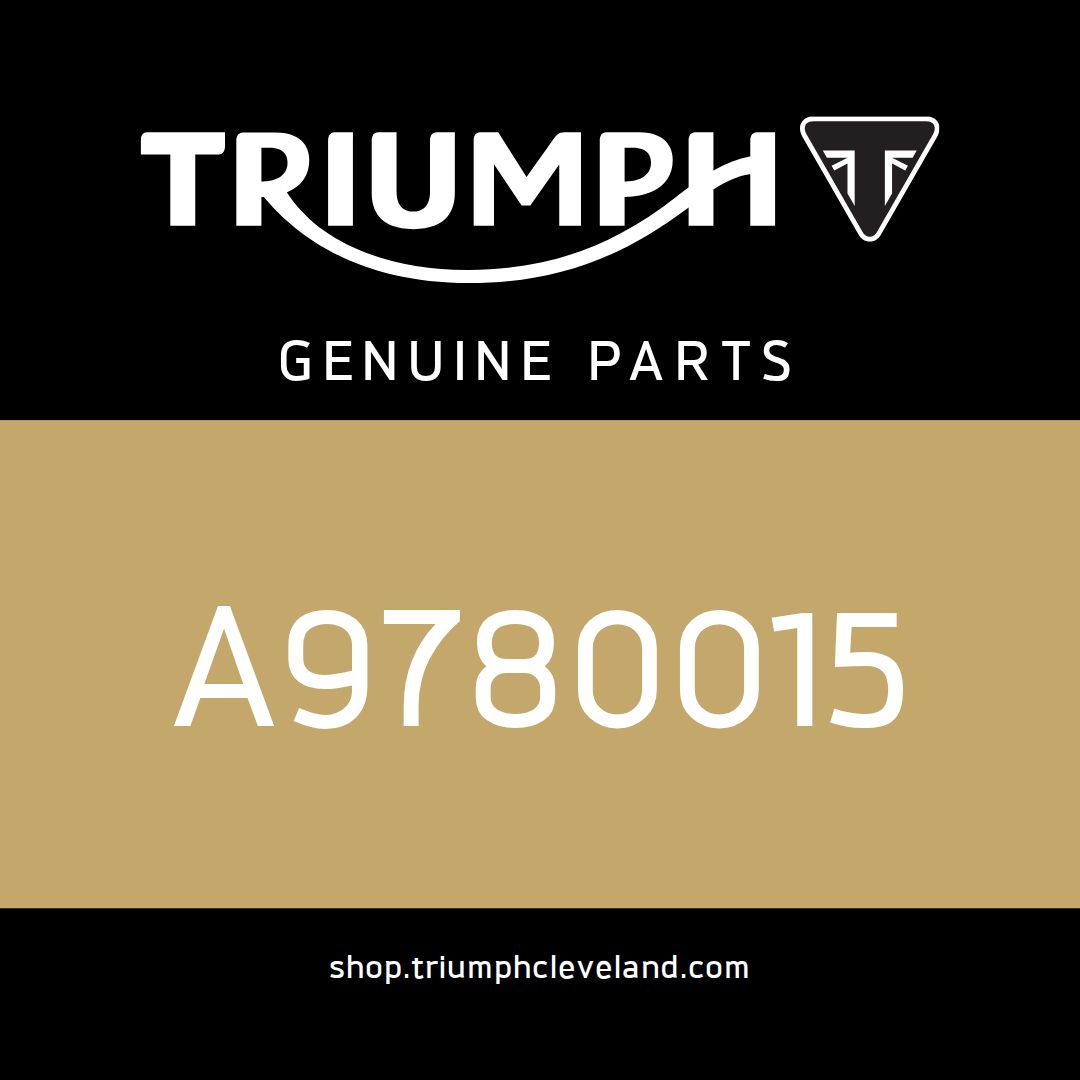 Triumph OEM Frame Protector, Upper, LHS - A9780015