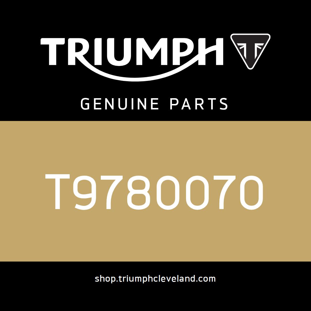 Triumph OEM Engine Dresser Bar, Centre, SS - T9780070