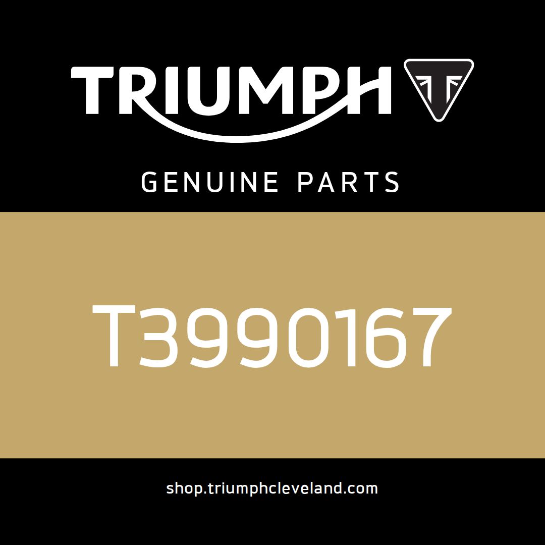 Triumph OEM Engine Service Kit - T3990167