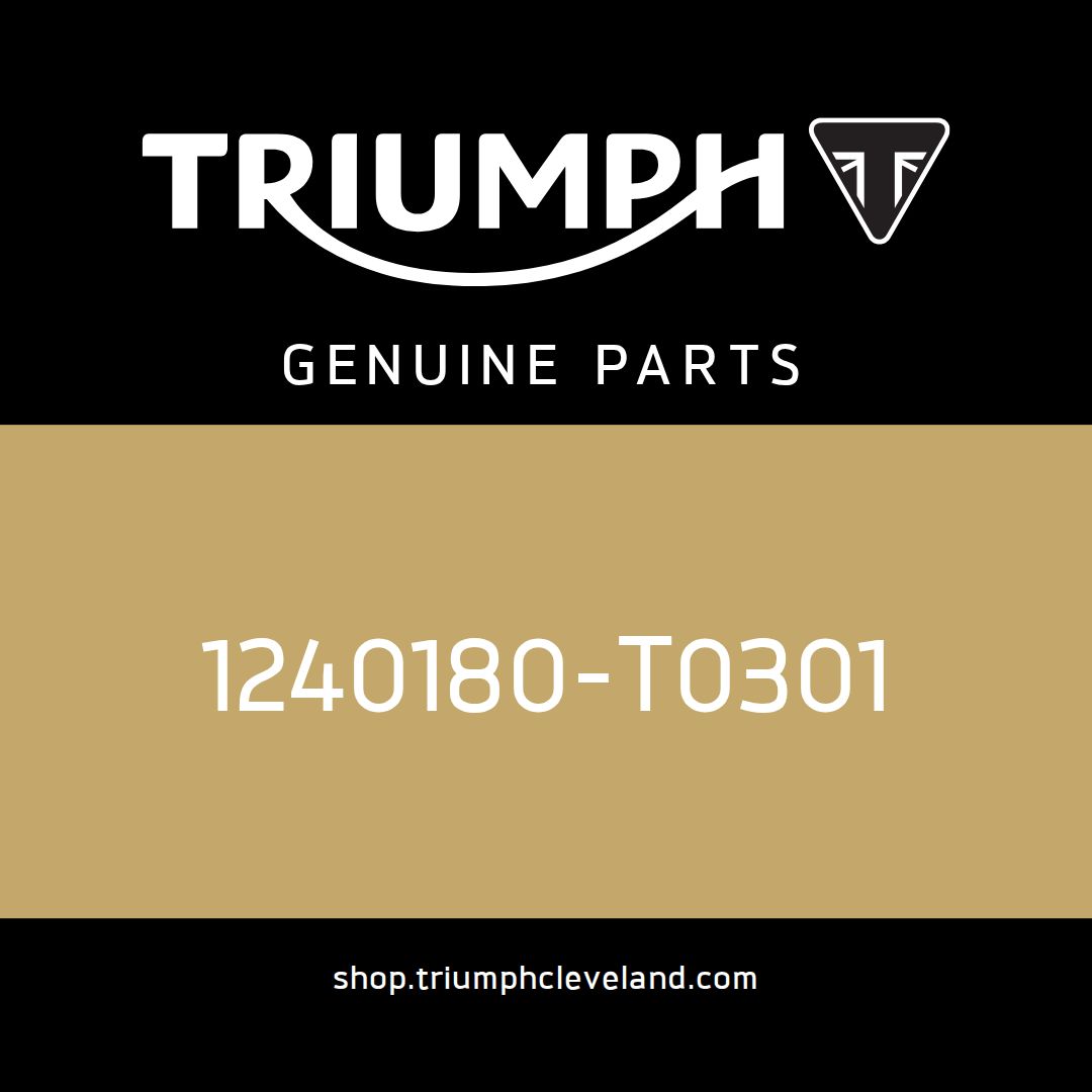 Triumph OEM Fuel Filter - 1240180-T0301