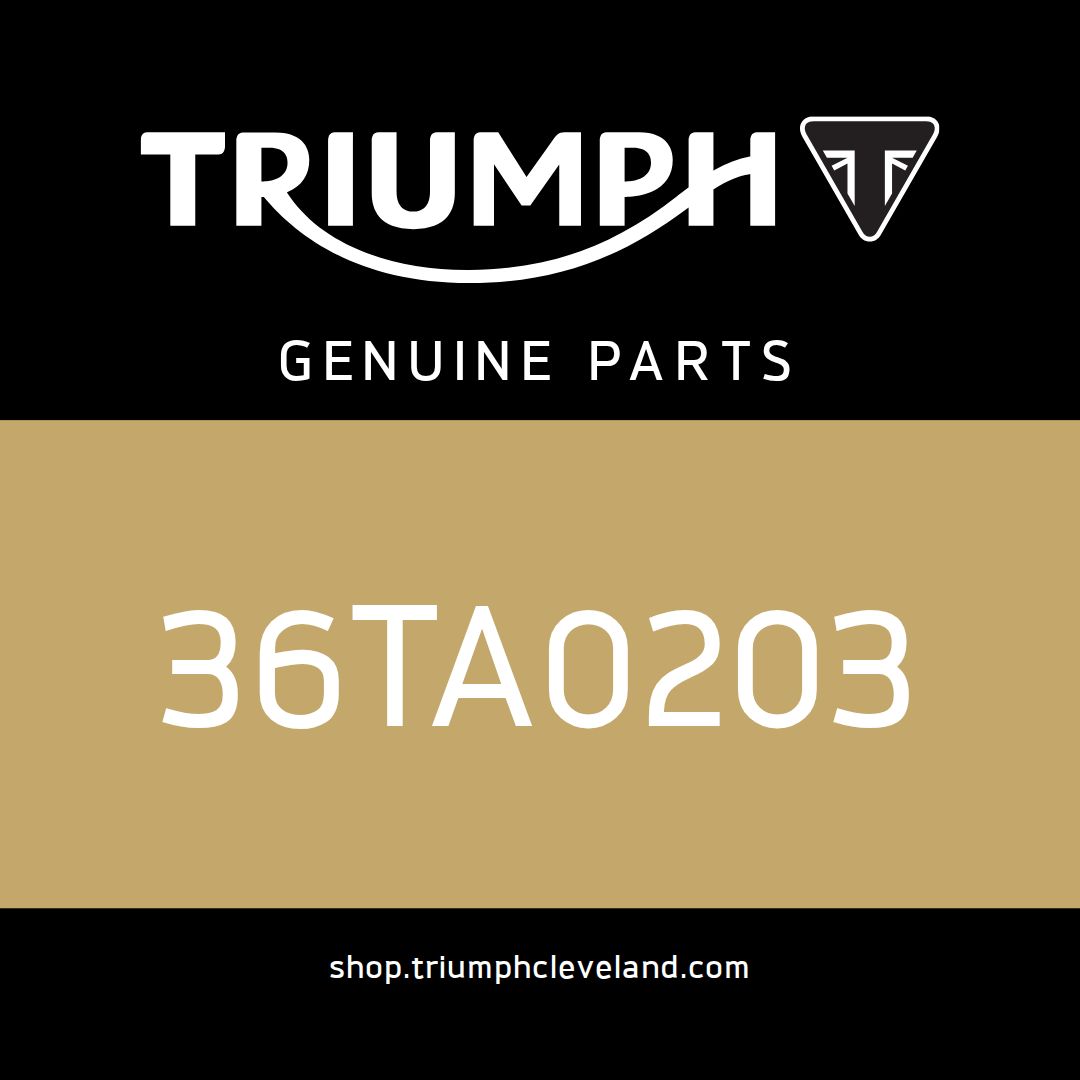 Triumph OEM Front M/Cyl Res Kit - 36TA0203