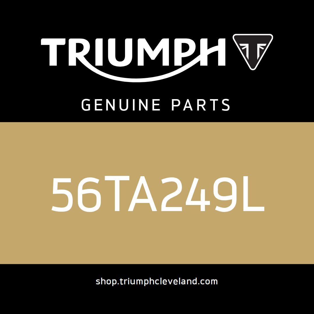 Triumph OEM Brace, Mudguard, LH, Matt Black - 56TA249L