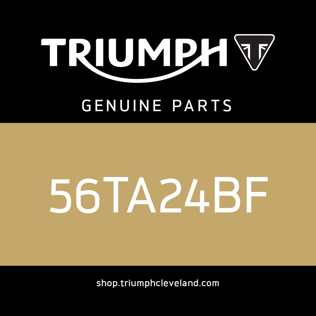 Triumph OEM Brace, Mudguard, LH, Matt Phantom Blk - 56TA24BF