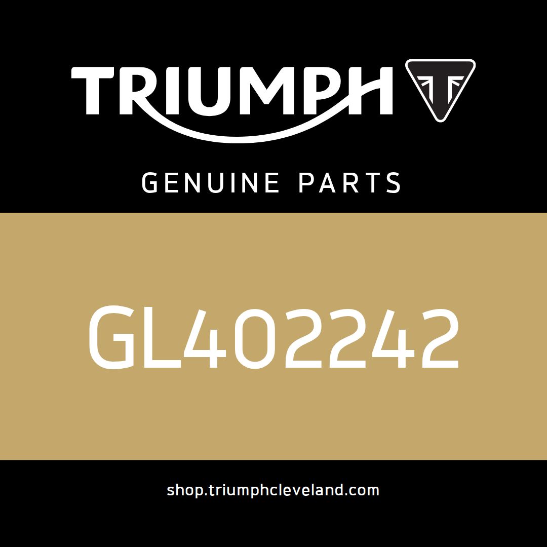 Triumph OEM Pad Support - Cable Tie - GL402242
