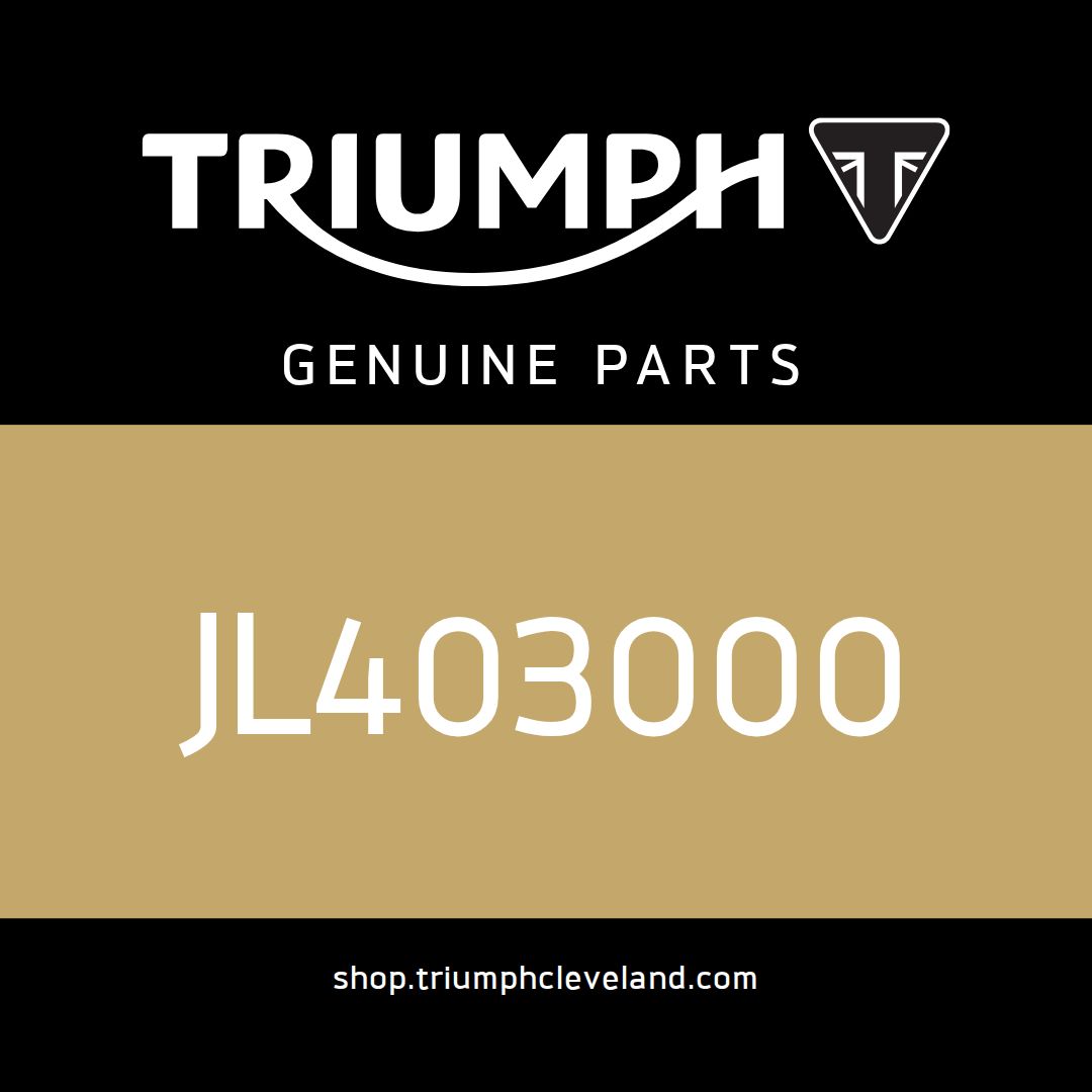 Triumph OEM Relay, Interlock - JL403000