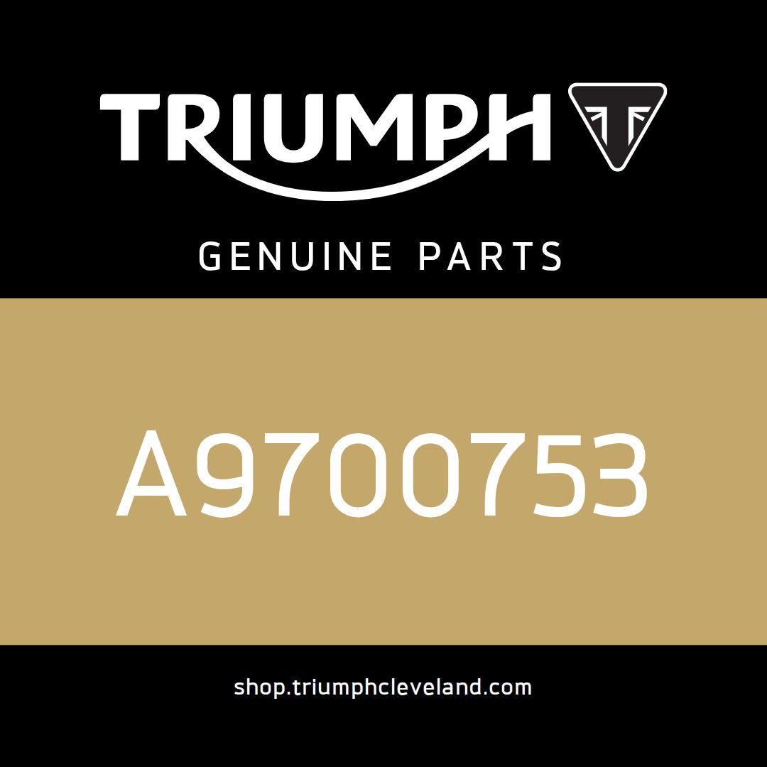 Triumph OEM Windshield, Summer - A9700753