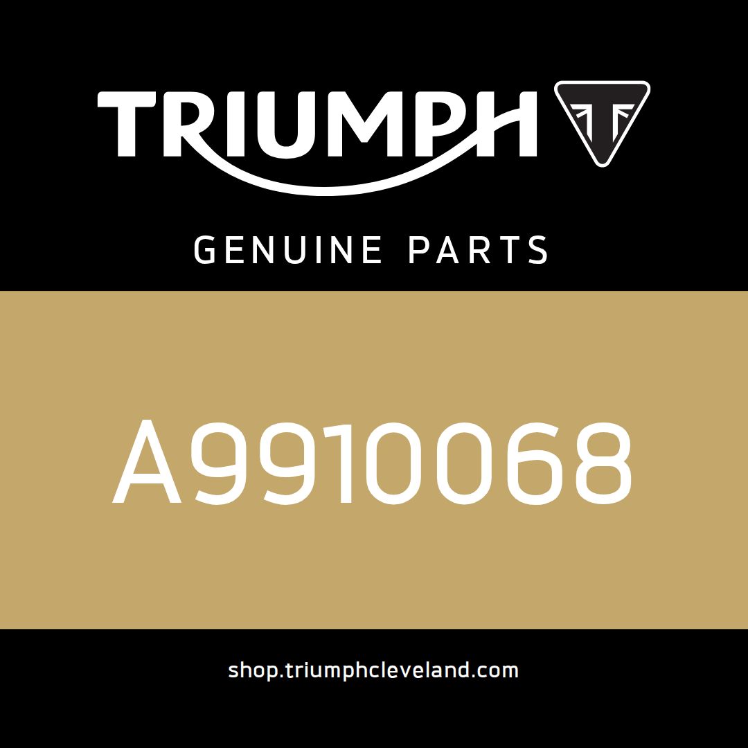 Triumph OEM C/Screw, M6 X20, Blk, P/Lock - A9910068