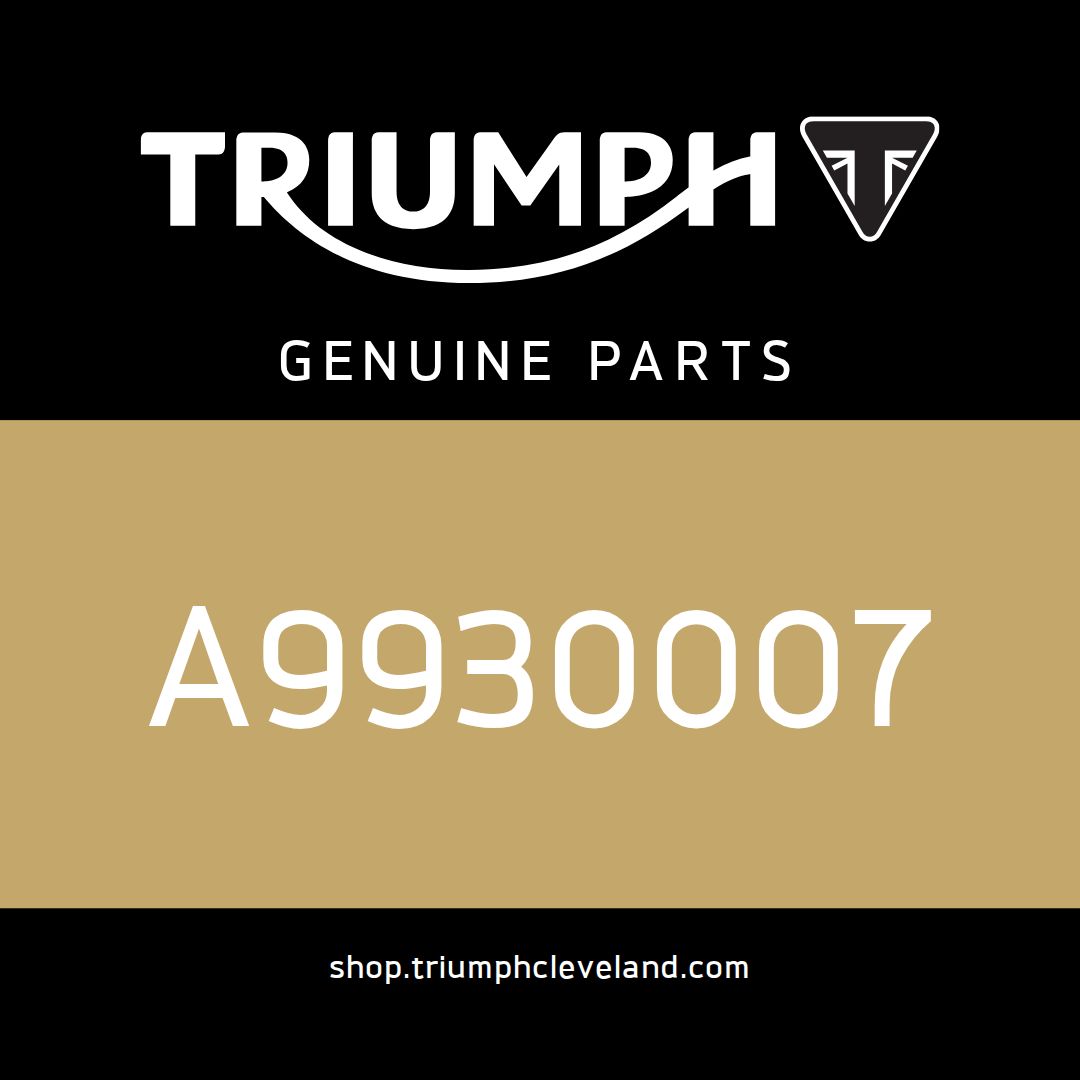 Triumph OEM Cleaning Swab - A9930007