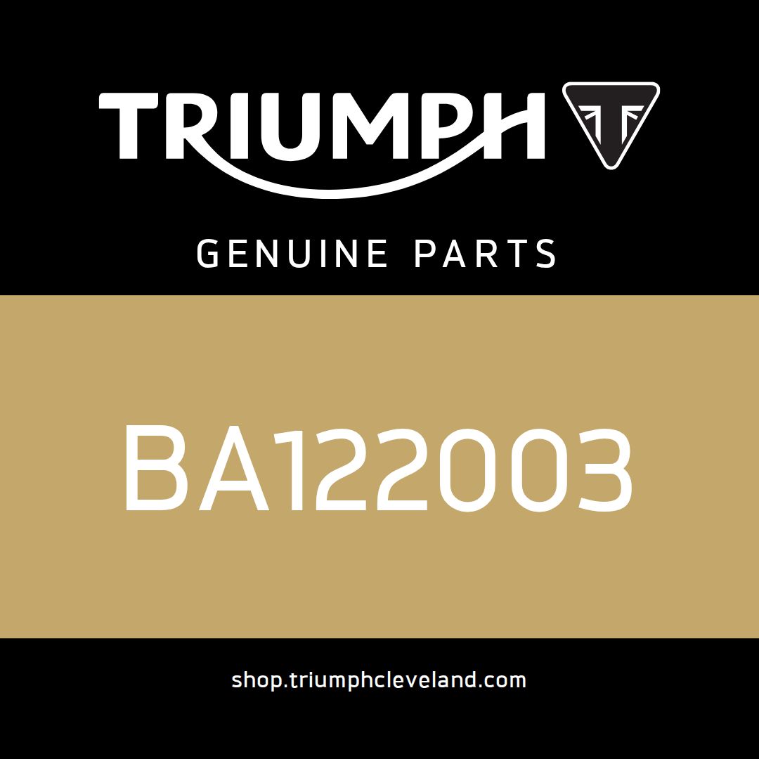 Triumph OEM Pipe Clip - BA122003