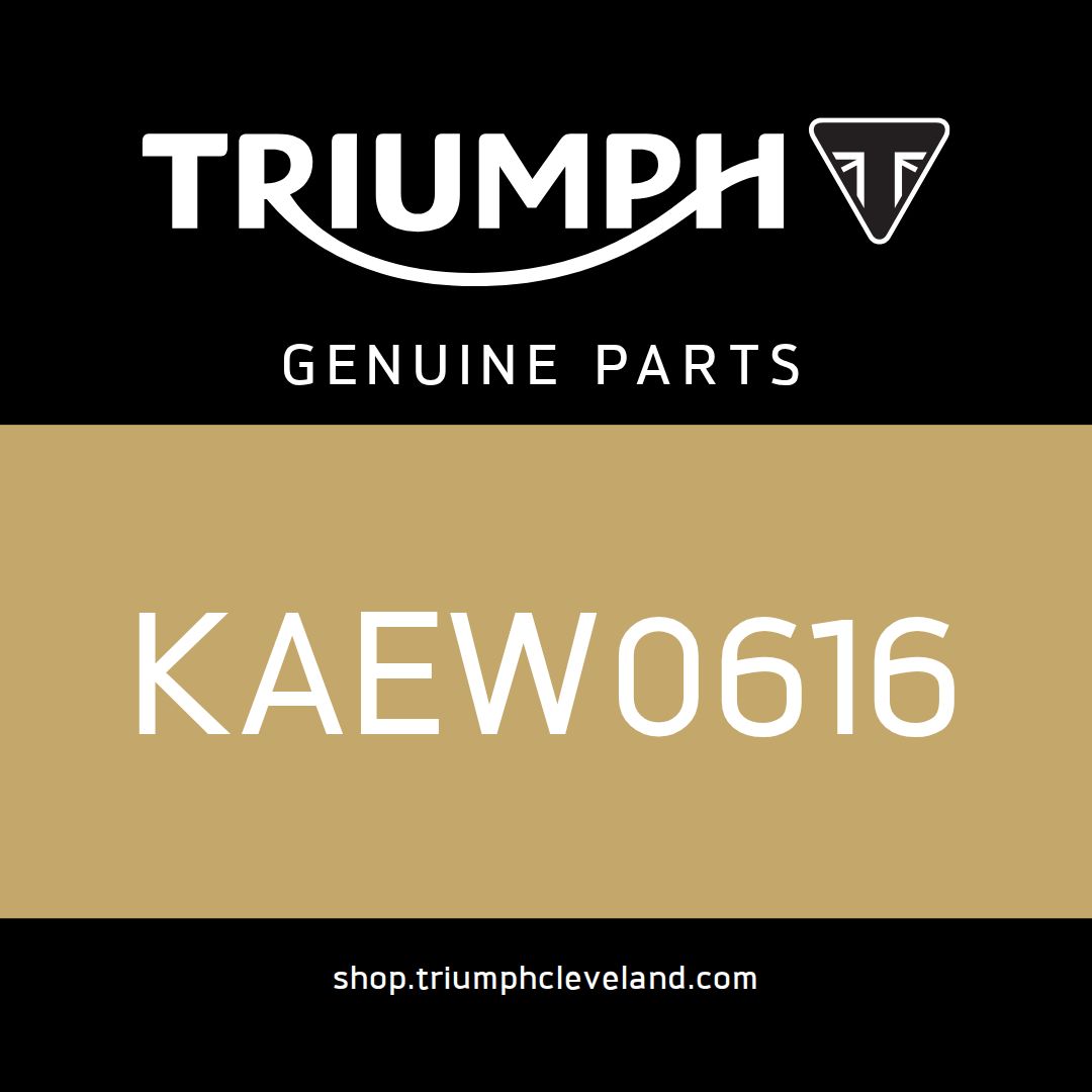 Triumph OEM Bolt, Flanged, M6 x 1 - KAEW0616