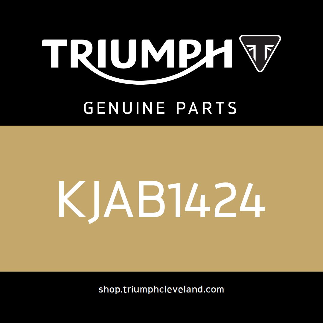 Triumph OEM O Ring - KJAB1424