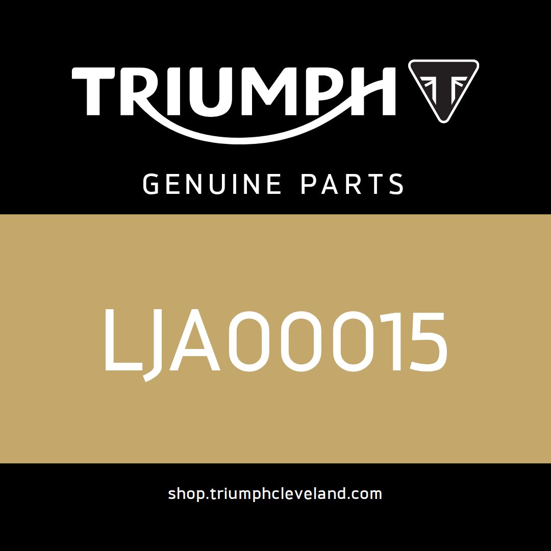 Triumph OEM O Ring - LJA00015