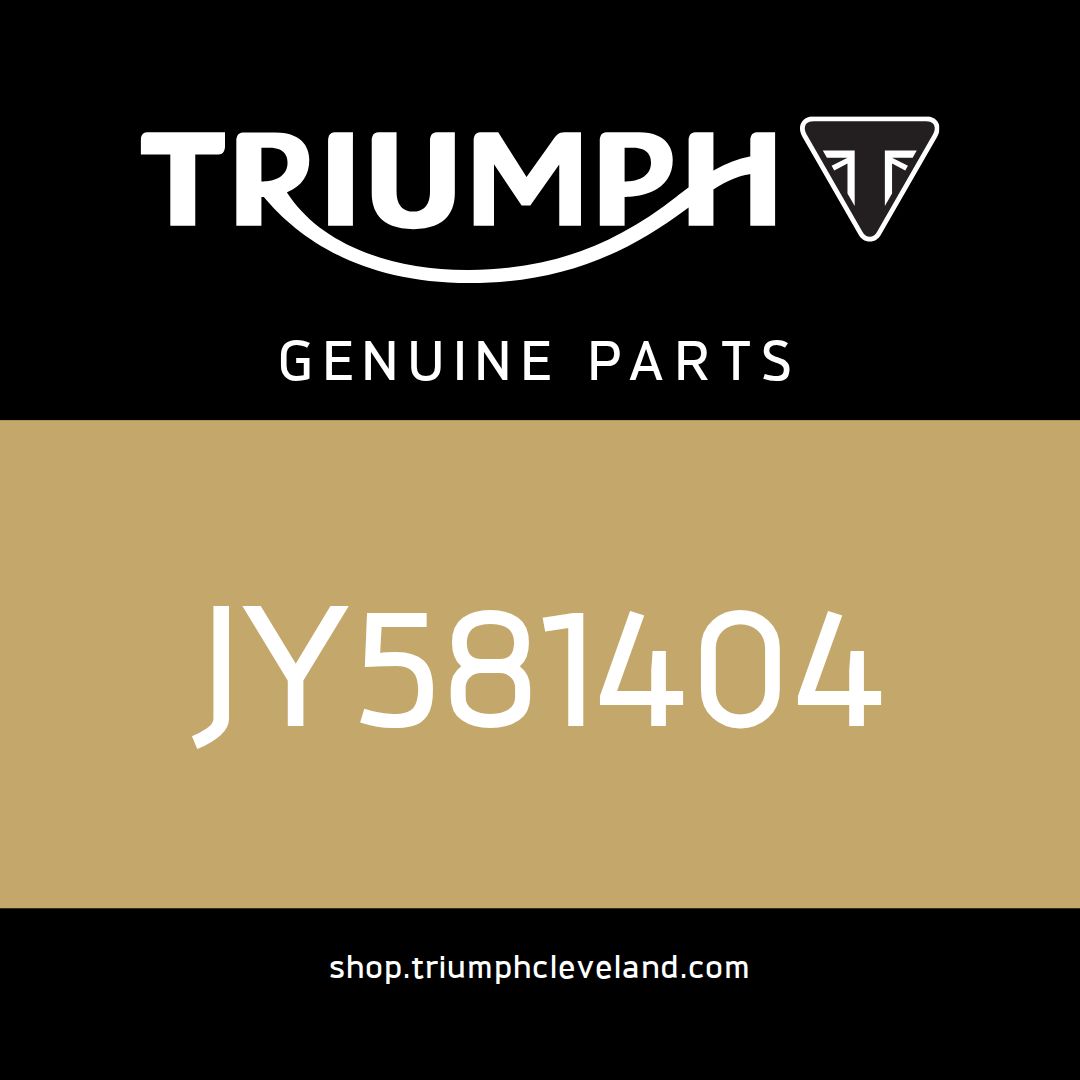 Triumph OEM O Ring, Intake Pipe - JY581404