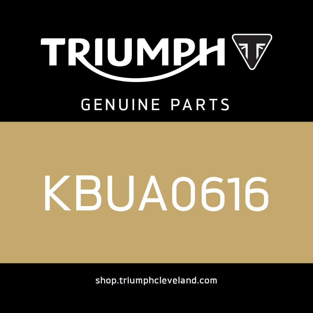 Triumph OEM Truss Screw, M6 x 16L - KBUA0616