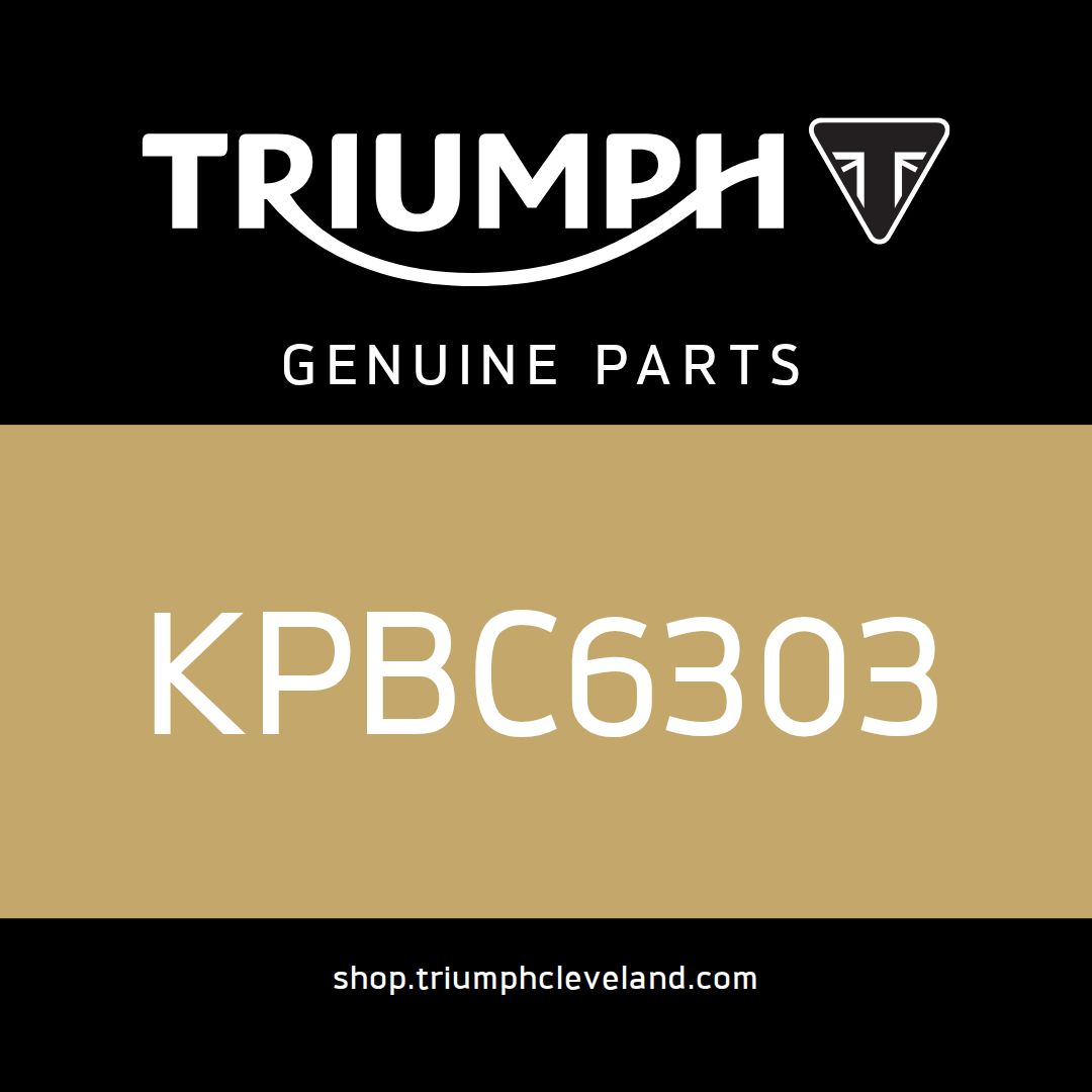 Triumph OEM Bearing Ball, ID17 x OD47 x T14 x C3 - KPBC6303