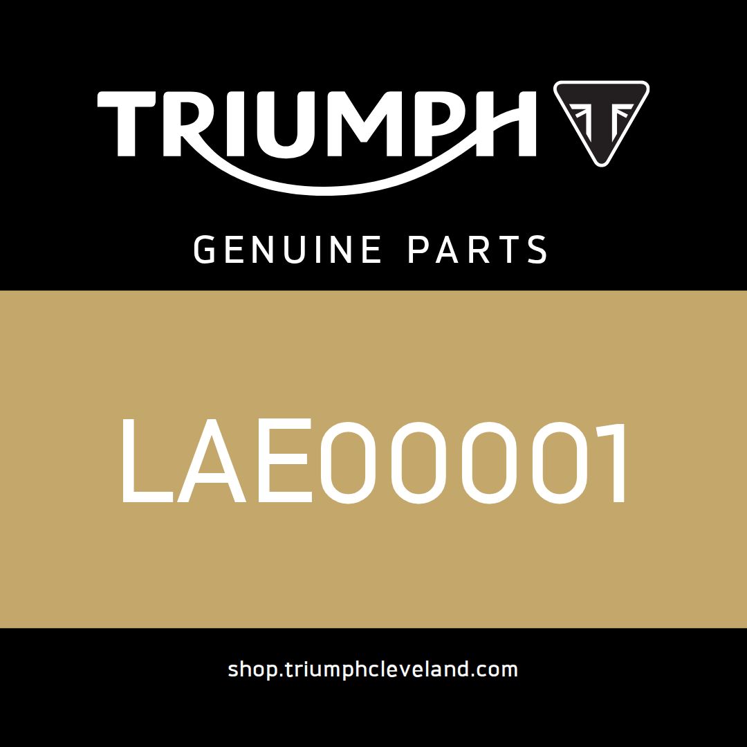 Triumph OEM Bolt, Flanged, M8 x 1.25 x 120, Precoat - LAE00001