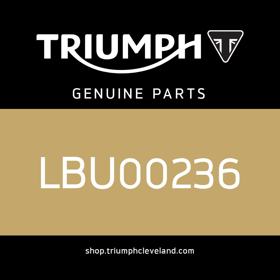 Triumph OEM Screw Skt Step M8 x 1.25 - LBU00236