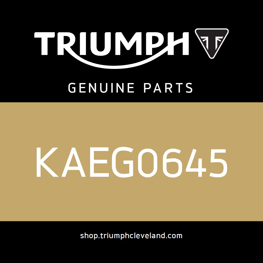 Triumph OEM Bolt, Flanged, M6 x 1 - KAEG0645