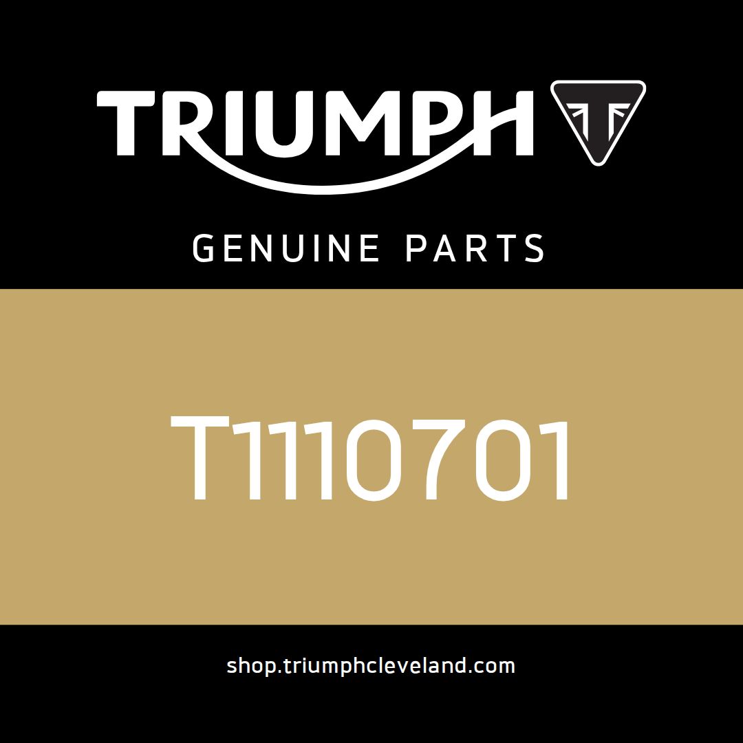 Triumph OEM Bolt, Con Rod - T1110701