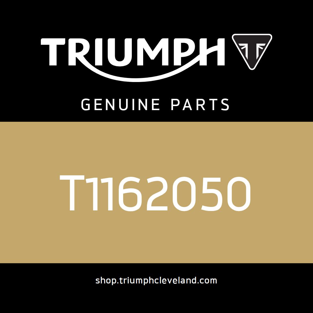 Triumph OEM Kit, Barrels/Silver Head - T1162050