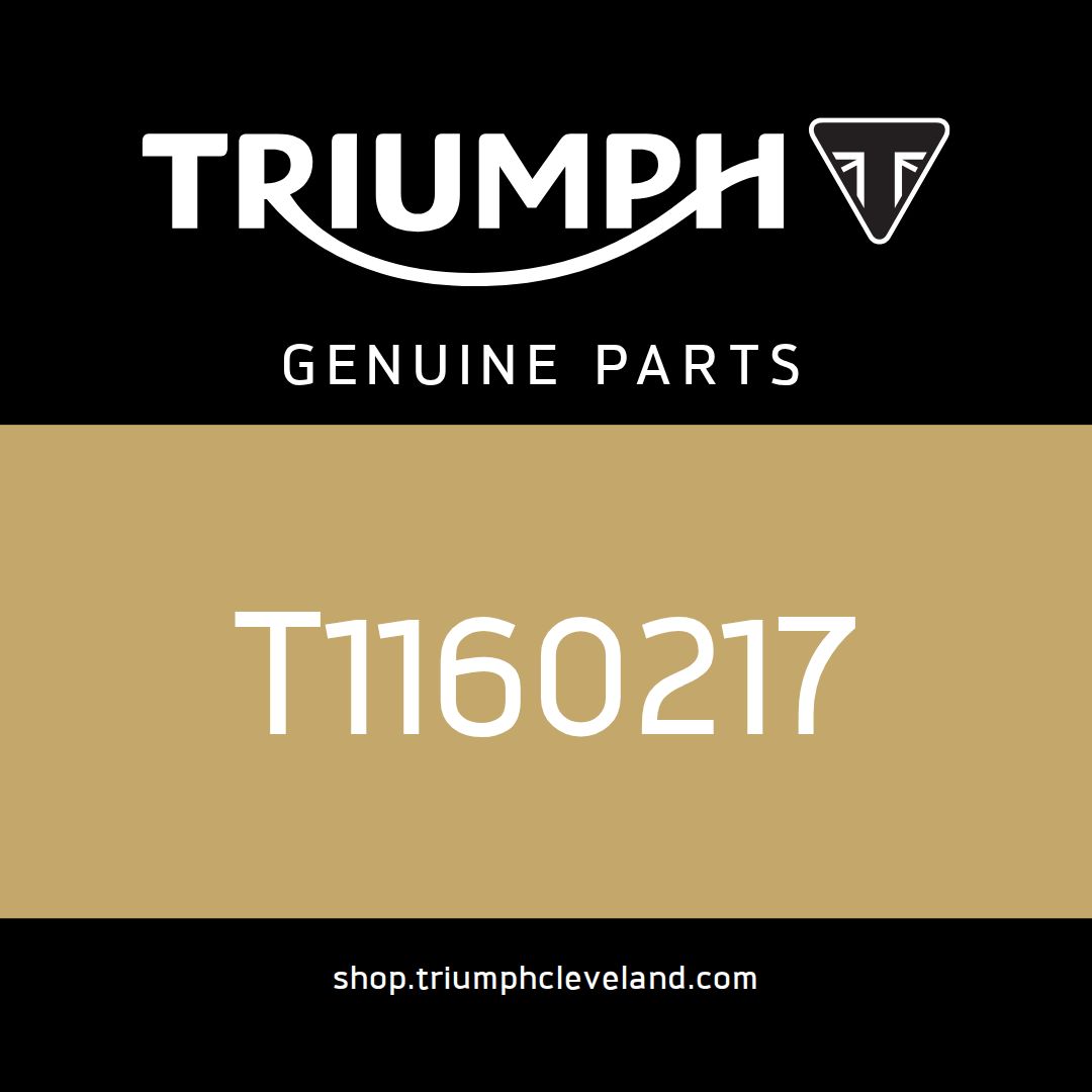 Triumph OEM Plate, Oil Retainer - T1160217