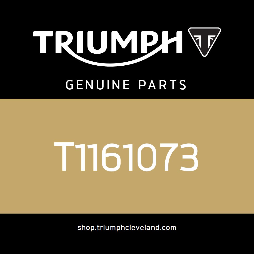 Triumph OEM Bearing, Thrust - T1161073