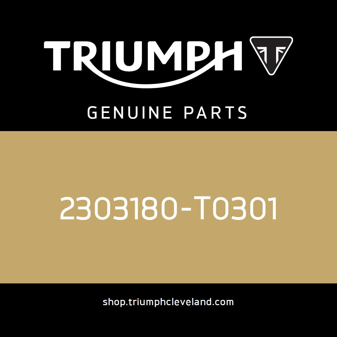 Triumph OEM End Cap - 2303180-T0301