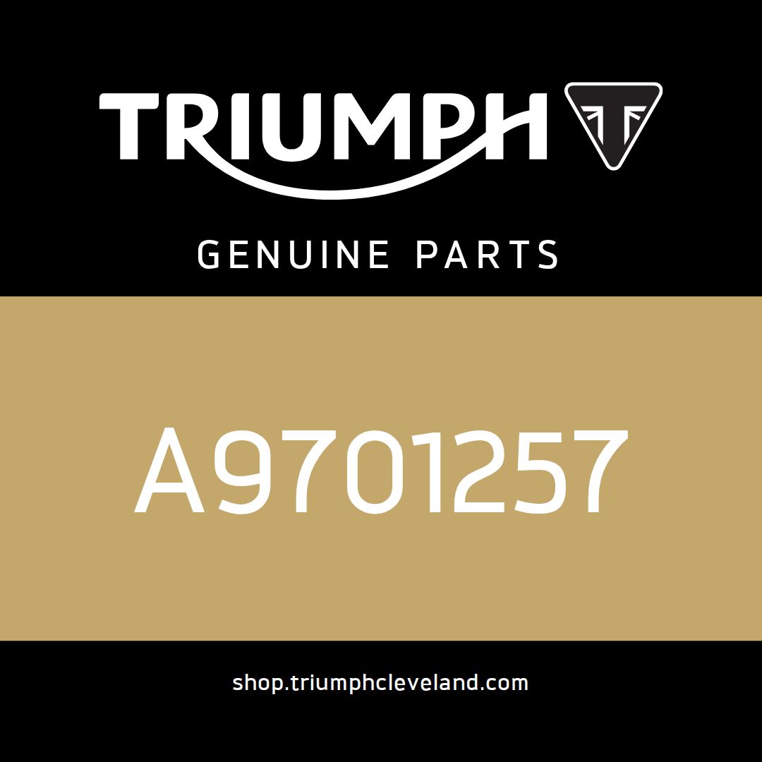 Triumph OEM Spool, M6 x 20, S/S - A9701257