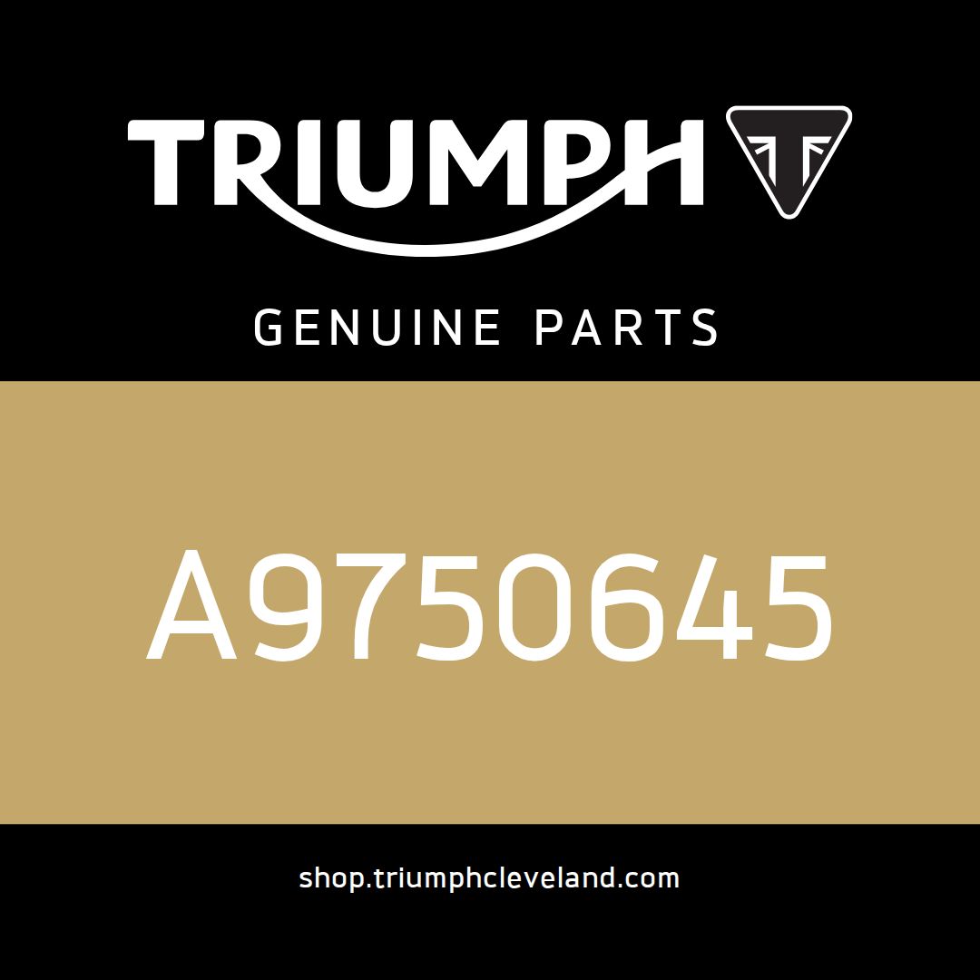 Triumph OEM Nut, Whiz, 5/16-8, Zinc Plated - A9750645