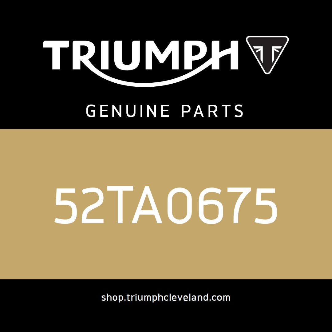Triumph OEM Rear Subframe, TA111084, Black - 52TA0675