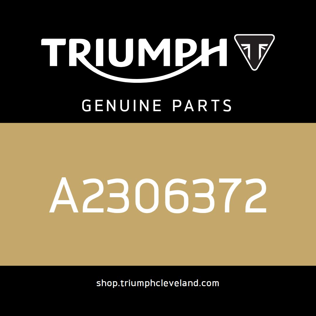 Triumph OEM Latch Mechanism, RH - A2306372