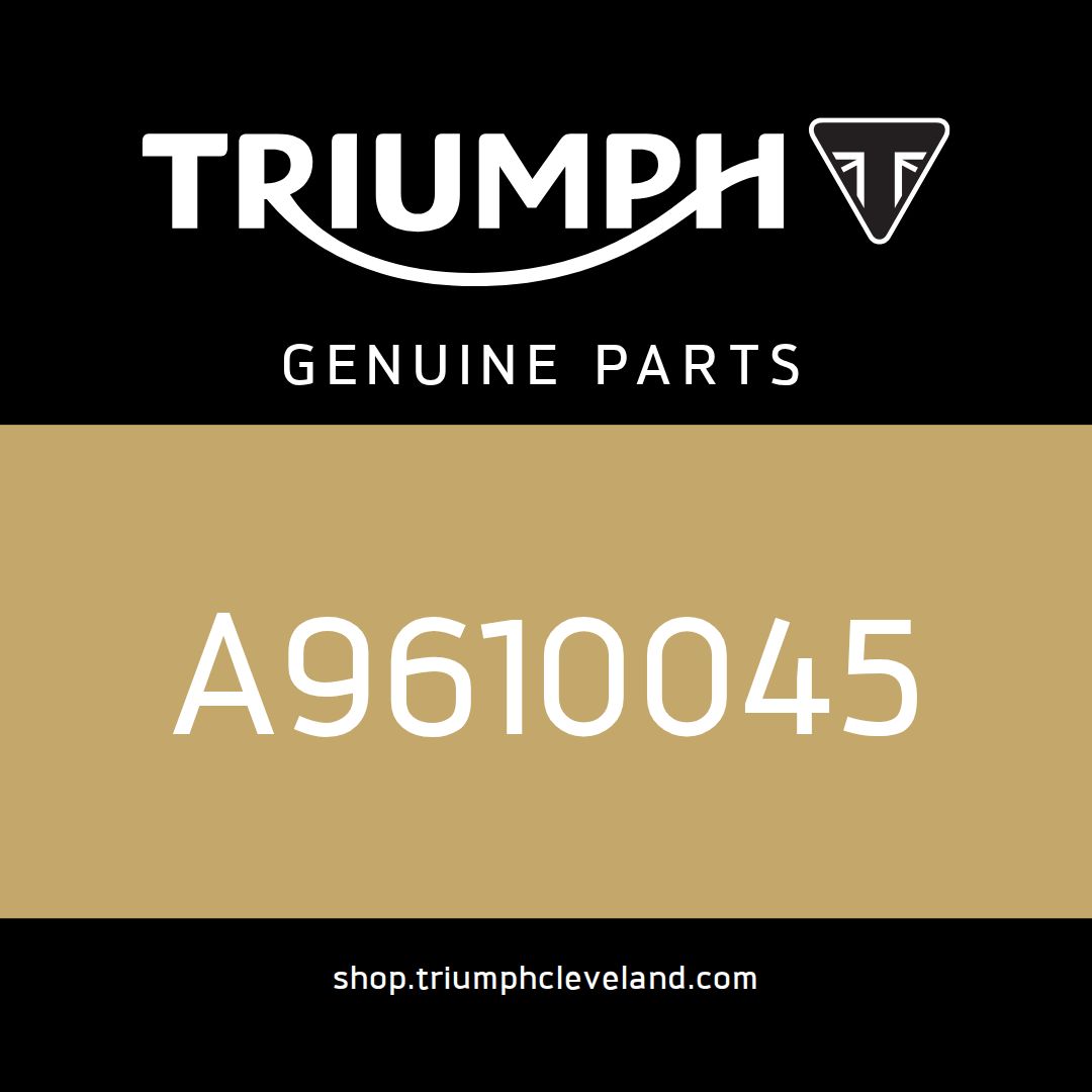Triumph OEM Filter, Air, Washable - A9610045