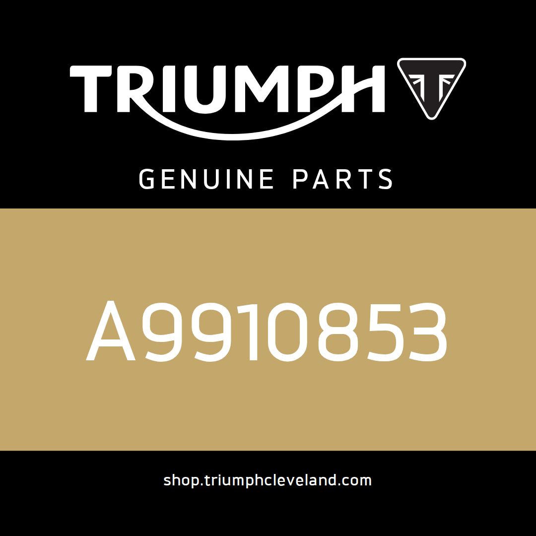 Triumph OEM Screw, But/HD, M5 X 10, Enc - A9910853