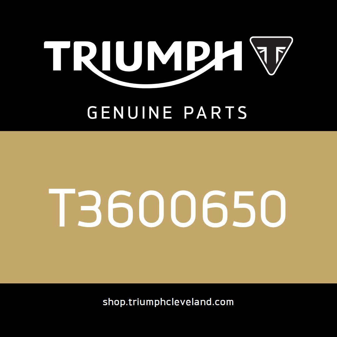 Triumph OEM Radial Seal 30/42/6 - T3600650