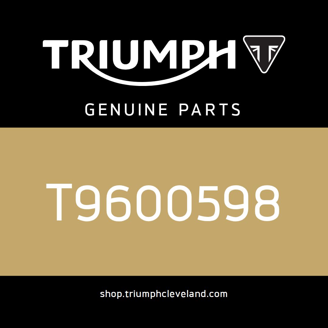 Triumph OEM Cover, Cat Box, Black, LH - T9600598