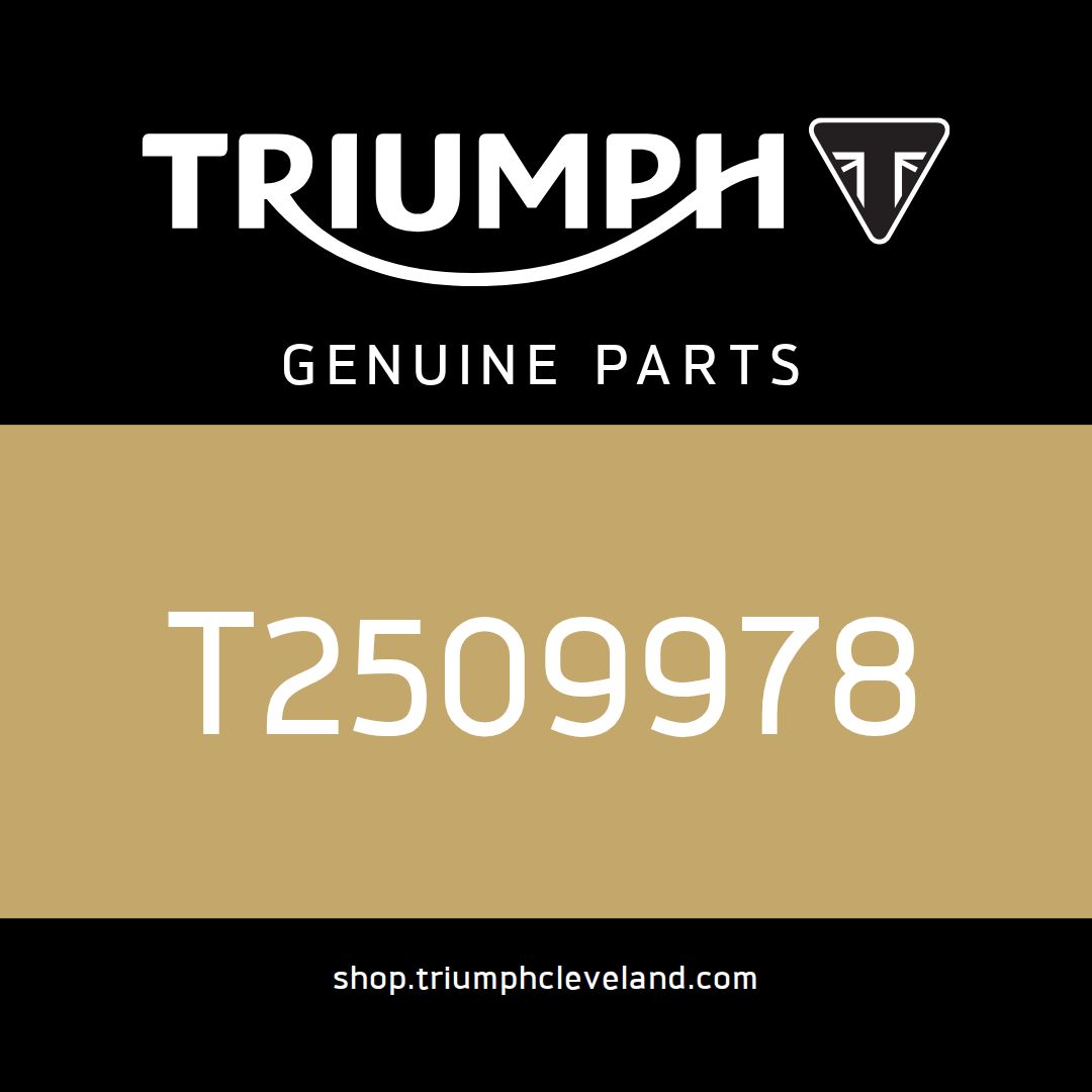 Triumph OEM Pad, Battery - T2509978