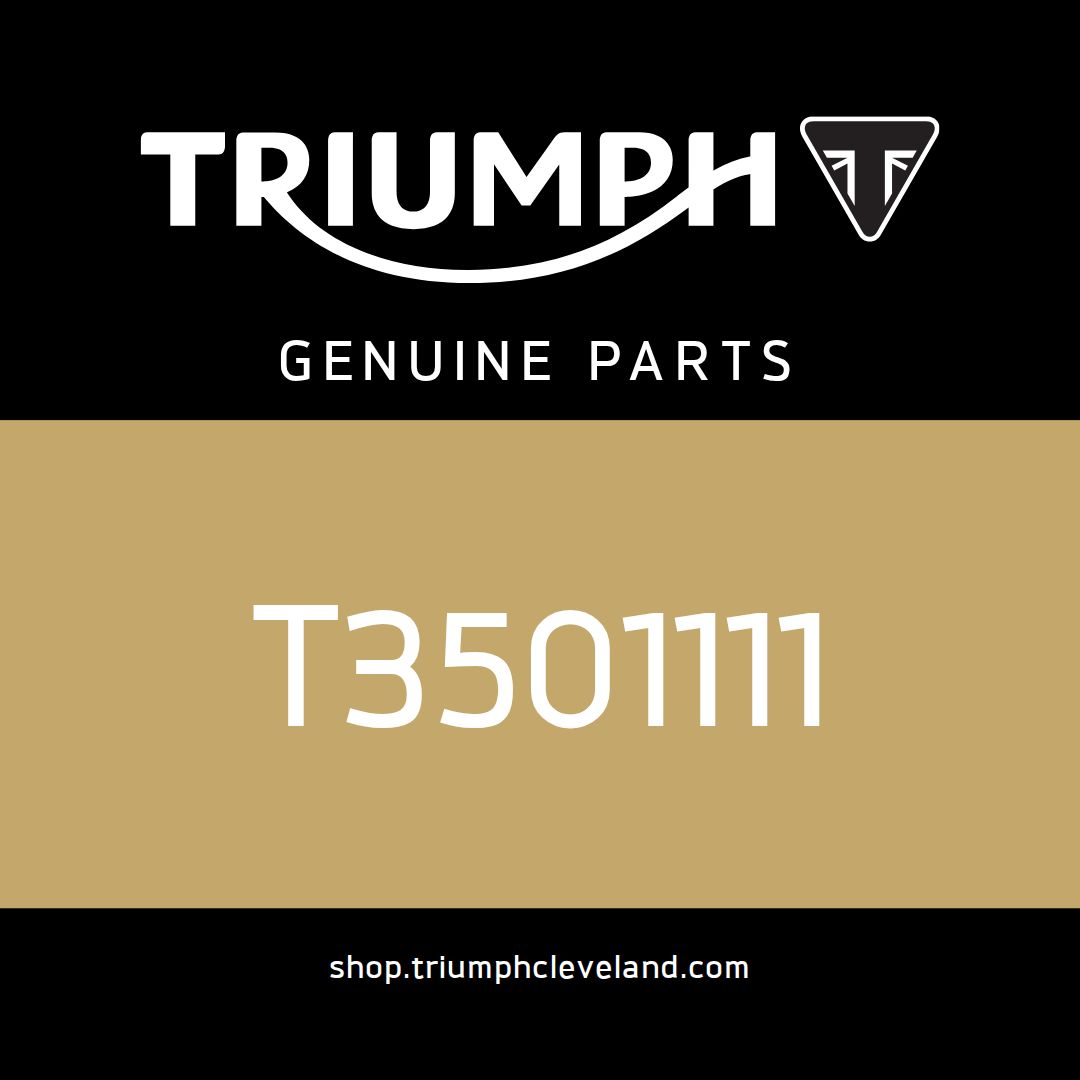 Triumph OEM E-Clip, 13-18 - T3501111