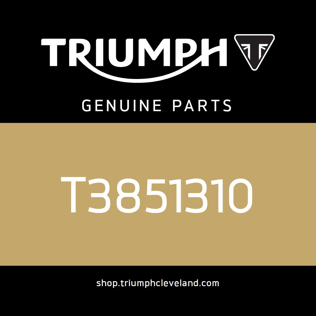 Triumph OEM Owners Handbook - T3851310