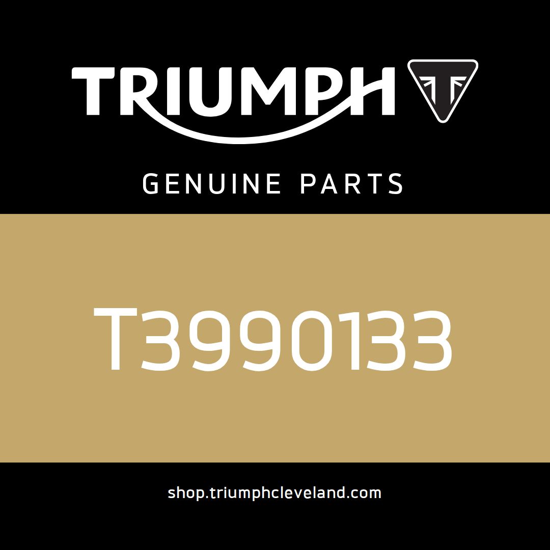 Triumph OEM Engine Service Kit - T3990133