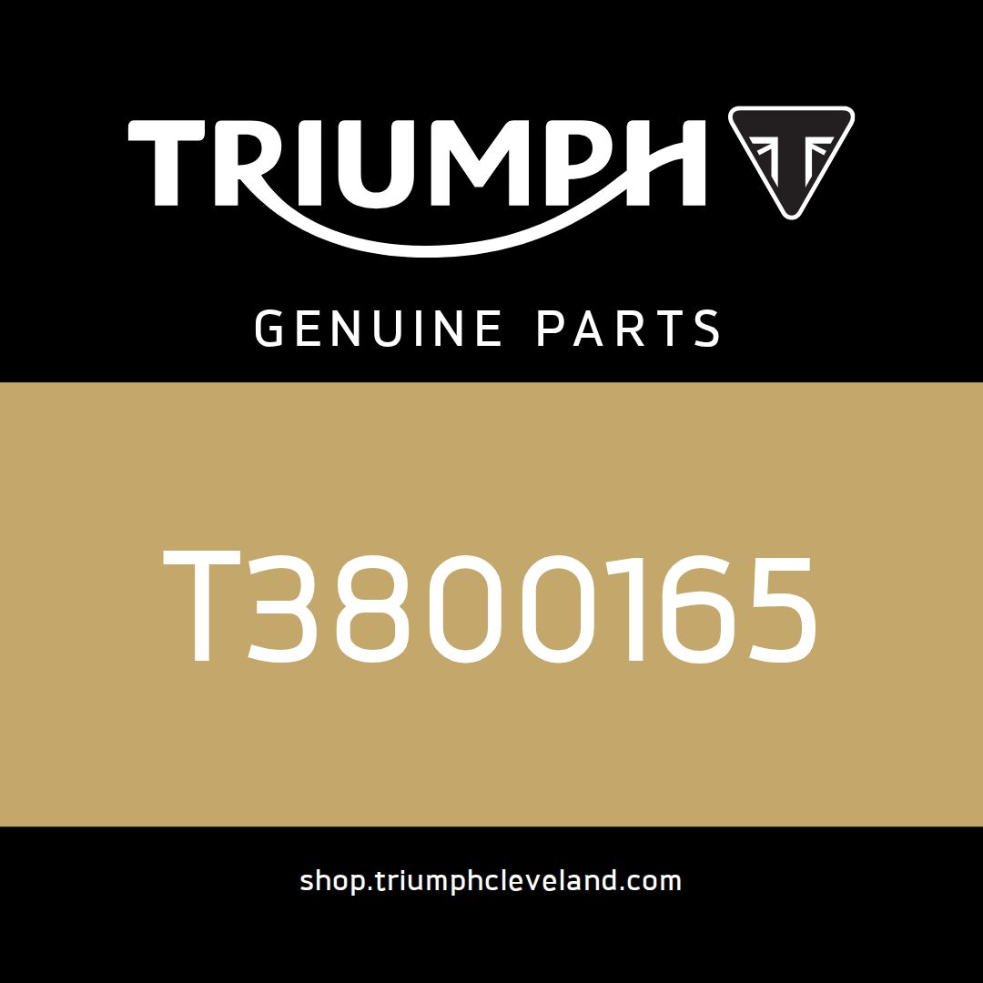 Triumph OEM Bearing, Ball, 6306R - T3800165