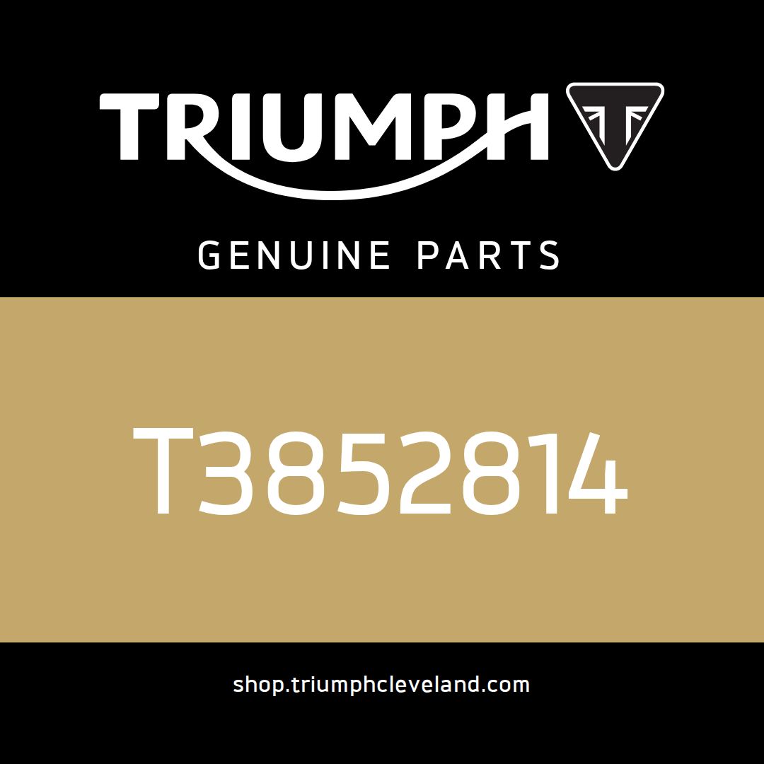 Triumph OEM Service Manual - T3852814