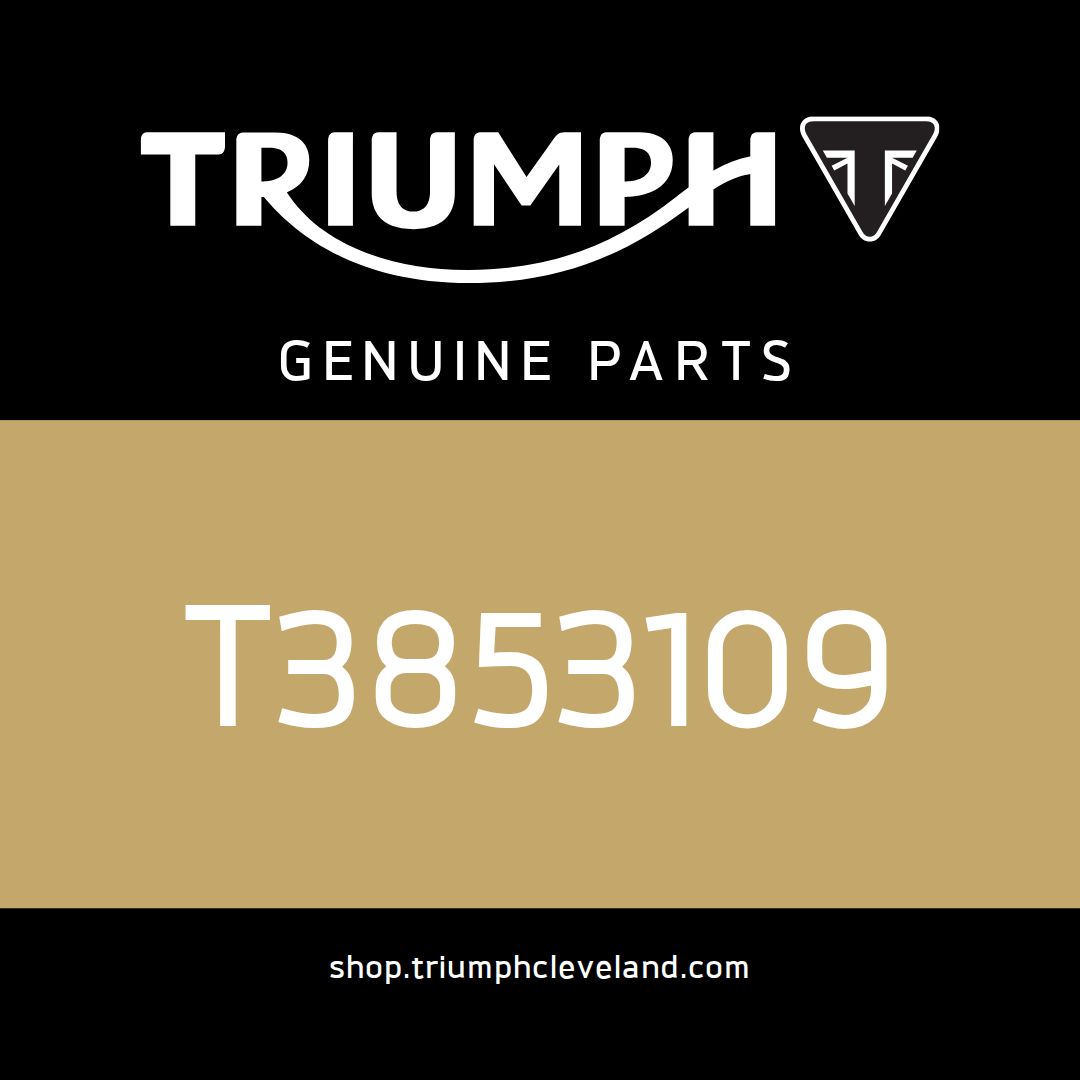 Triumph OEM Handbook Assembly - T3853109