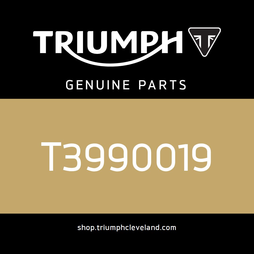 Triumph OEM Kit, Cyl Hd Gasket & Washer - T3990019